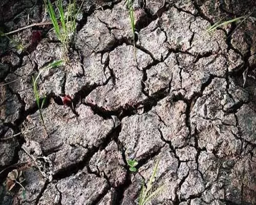 酸化土壤,中國(guó)十大名牌水溶肥